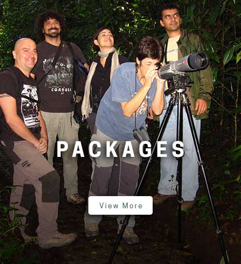 packages2